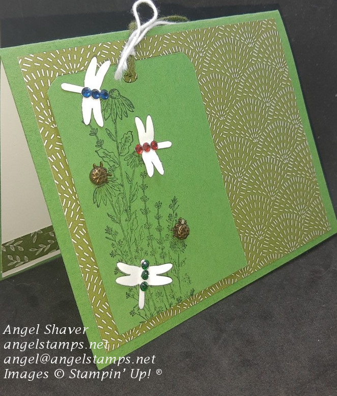 Video: Dragonfly Christmas Card