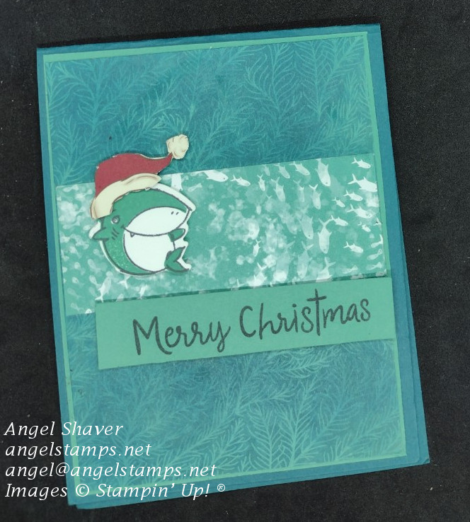 Video: Baby Shark Christmas Card