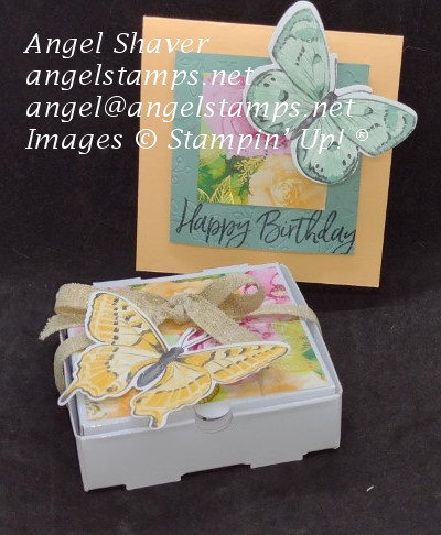 Square Butterfly Birthday