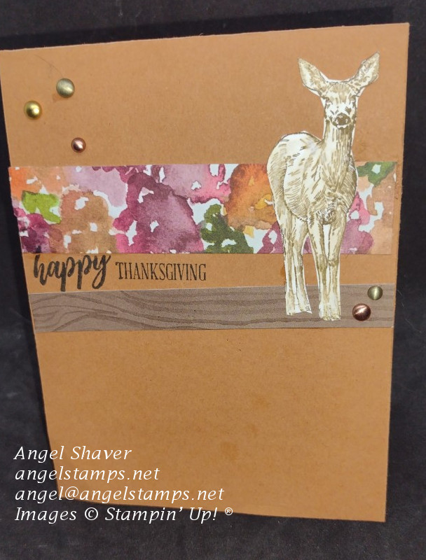 Thanksgiving Deer Card