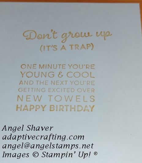 Inside of card that says, "Don't Grow Up!  It's a Trap!" and "One minute you're young and cool and the next you're getting excited over new towels.  Happy Birthday."