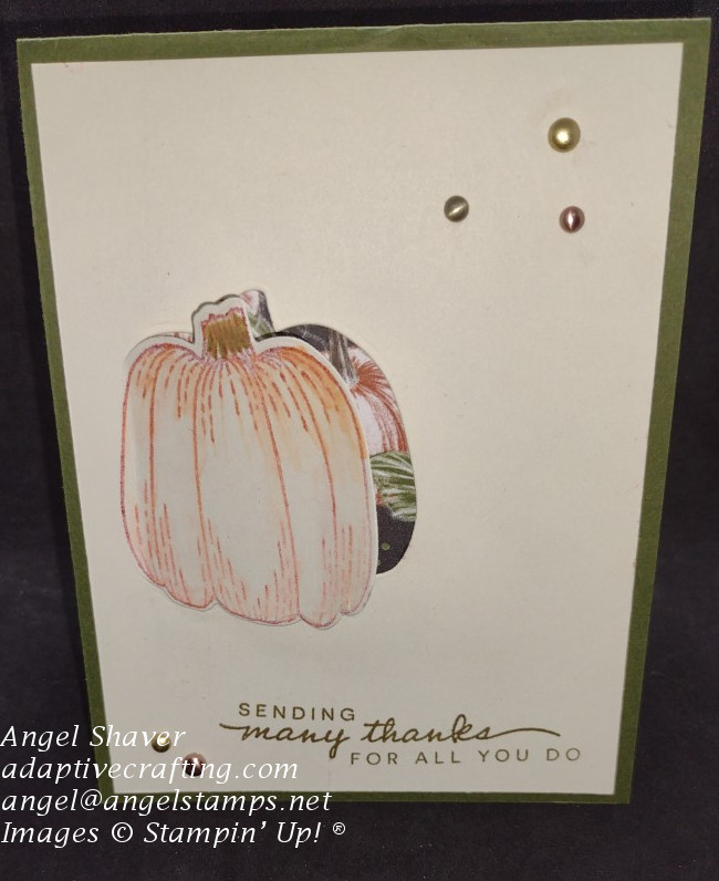 Green thank you card with pumpkin die window that opens up to patterned paper.  Sentiment says "Sending many thanks for all you do."