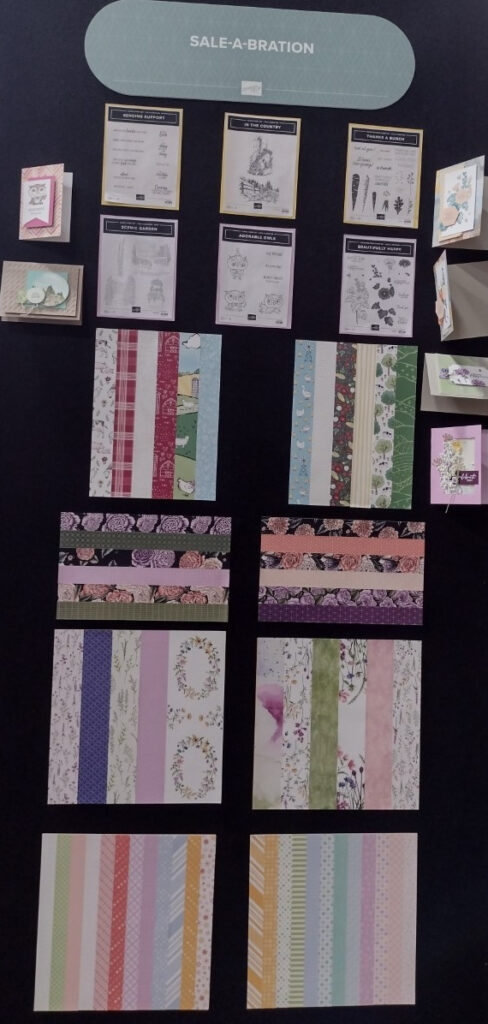 Saleabration items--stamp sets, patterned paper. Also includes cards made with Saleabration products.