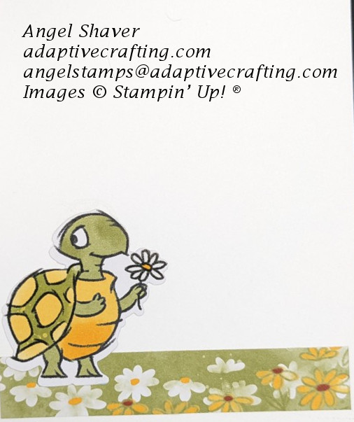 Inside of card with turtle standing in field of daisies.
