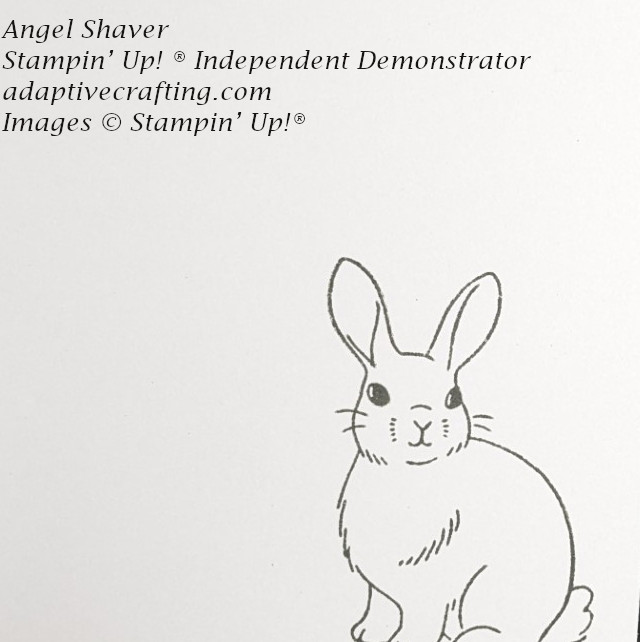 White inside of card with bunny stamped in gray ink.