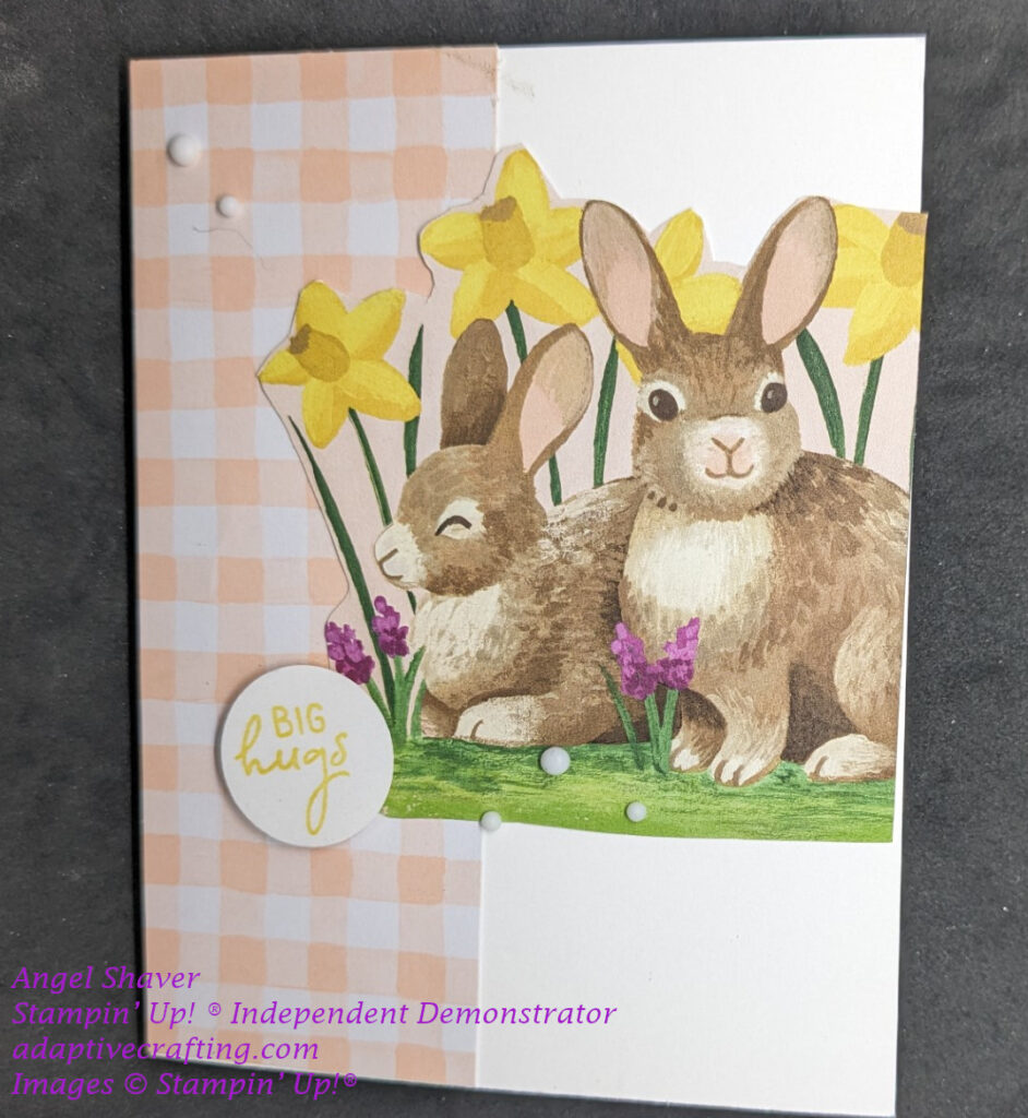 White card with strip of pink gingham paper on left side of card.  Printed images of two brown bunnies in field of yellow daffodils and purple flowers on green grass horizontally across center of card.  Circle sentiment label says, "Big Hugs."