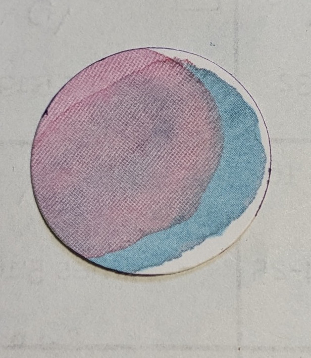 Pink, purple, blue, and white die cut circle.
