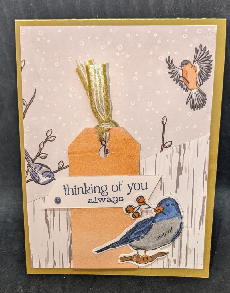  Wheat colored card with two different paper patterns cut diagonally.  Top is pussy willows with a blue and gray bird sitting on a branch and an orange and black bird in flight.  The bottom paper design is birch wood embossed with a birch wood embossing folder.
There is an orange tag toward bottom left of page with a wheat colored ribbon.  Sentiment label across it says, "thinking of you always" and there is a blue and grey bird die cut at the bottom of the tag.
