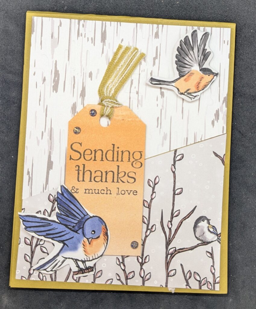 Wheat colored card with two different patterns of papger cut diagonally across card front. 
 Top pattern is birch wood embossed with a birch wood embossing folder. There is a black and orange bird die cut at the top right.  Bottom patterend paper is pussy willows with a black and grey bird sitting on a branch.
There is an orange tag toward bottom left of page with a wheat colored ribbon.  Sentiment is stamped directly on it and says, "Sending thanks & much love." and there is a blue and orange  bird die cut at the bottom of the tag.
