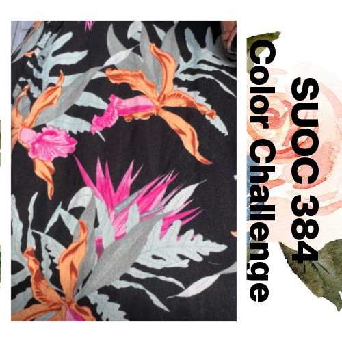 SUOC384 Color Challenge photo