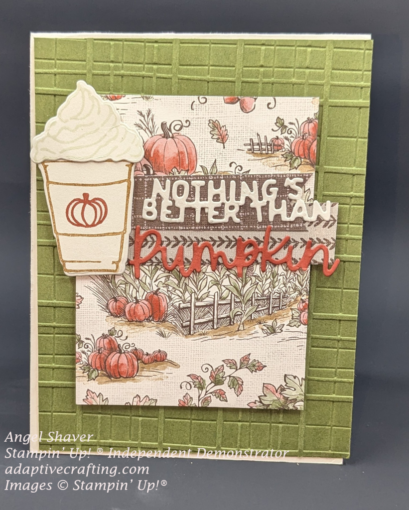 Beige card with green embossed plaid background  Patterned paper featuring pumpkins is the next layer with two strips of brown and beige patterned paper on top of that with die cut words that say, "Nothing Is Better Than Pumpkin"  Cup with stamped pumpkin on the label and topped with whipped cream is beside sentiment.