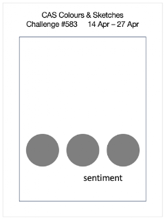 CAS Colours & Sketches Challenge #583 sketch