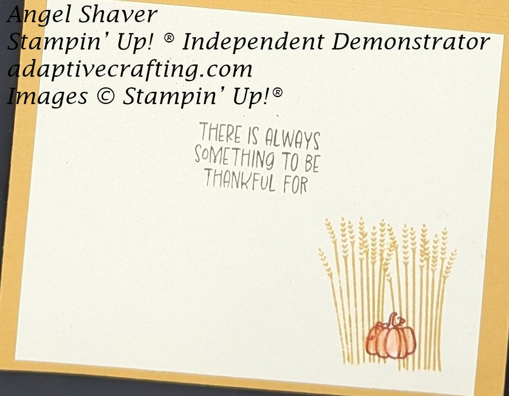 Inside of card which has a white layer.  Golden yellow wheat and a reddish orange pumpkin stamped at the bottom left.  Sentiment says "There is always something to be thankful for."
